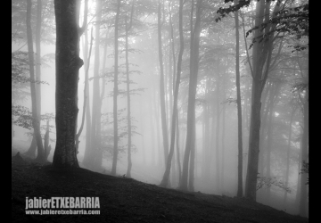 02 jabier-etxebarria-mi-mochila