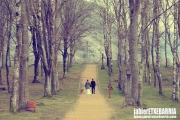 fotografo_bodas_bilbao-09